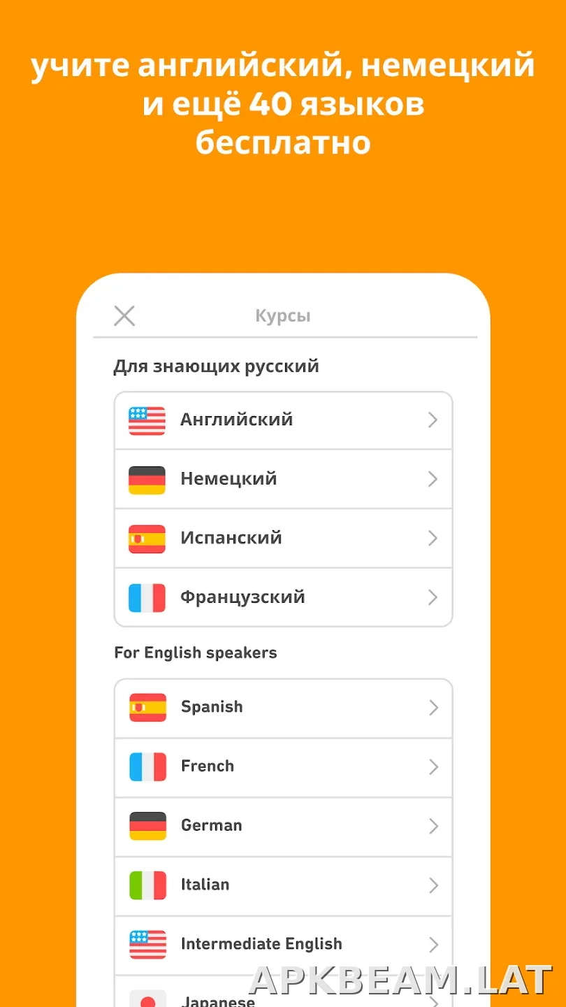 Дуолинго скриншот 6